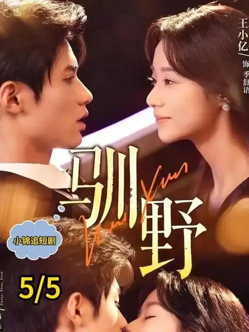 合租关系剧集封面
